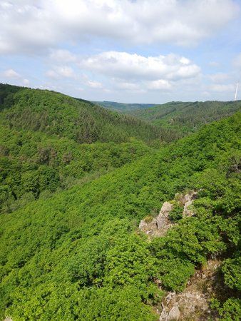 IMG_20170525_105508.jpg