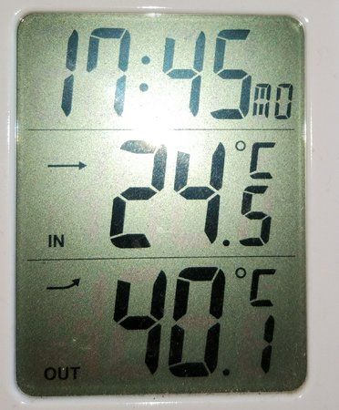 IMG_20170529_174520.jpg