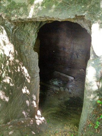 IMG_20170528_114434_1.jpg