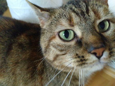 IMG_20170530_195741_724.jpg