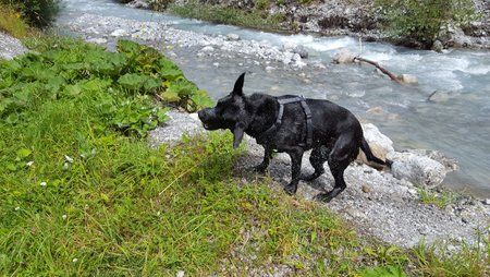 20160802_150737.jpg