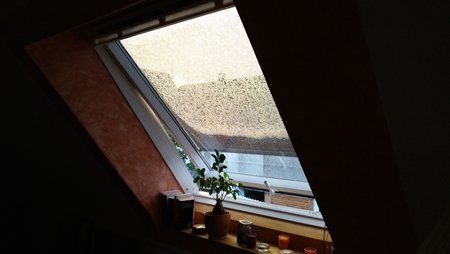 IMG_20170530_204959.jpg