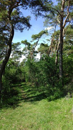 IMG_20170516_160431.jpg