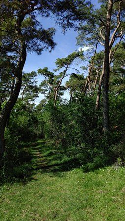 IMG_20170516_160437.jpg