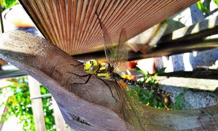 C360_2011-07-1525252015-22-31.jpg