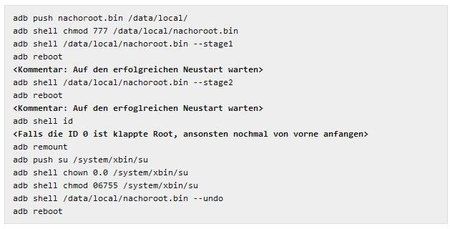 ROOT mit NachoRoot.jpg