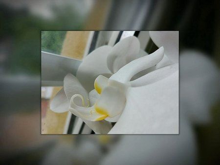 IMG-20170604-WA0010-01.jpeg