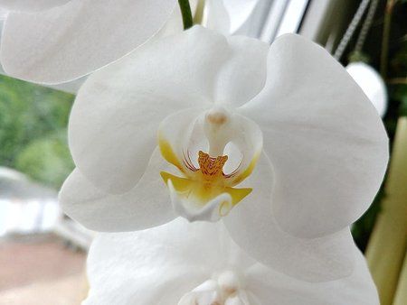 IMG-20170604-WA0016-01.jpeg