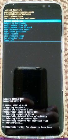 root3.jpg