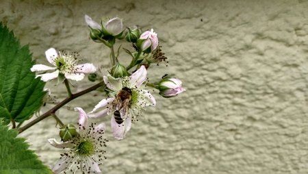 IMG_20170604_161039865_HDR.jpg