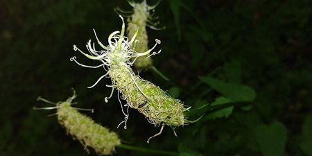 IMG-20170606-WA0012-01.jpeg
