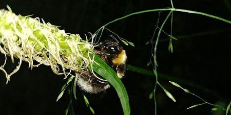 IMG-20170606-WA0014-01.jpeg