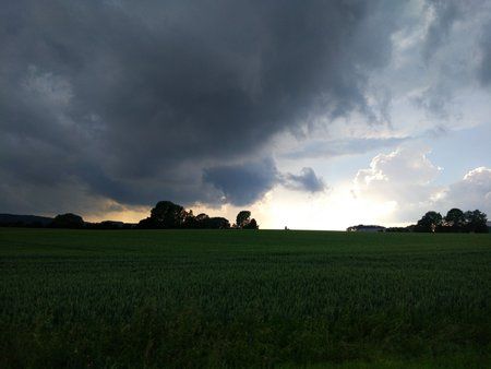 IMG_20170609_184643.jpg