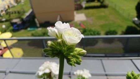 DSC_0072.JPG