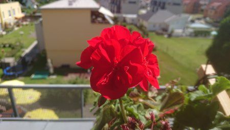 DSC_0068.JPG