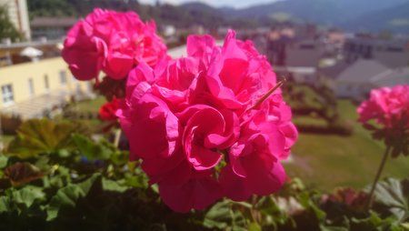 DSC_0067.JPG