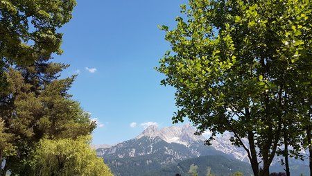20170615_123812.jpg