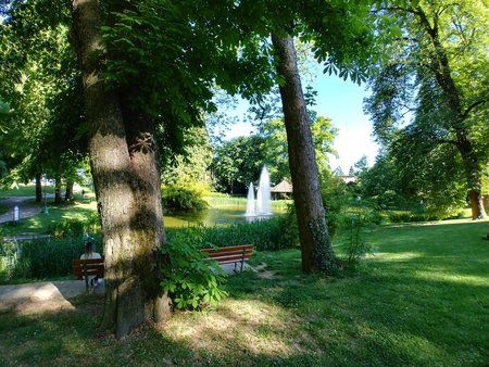 20170525_174311_HDR.jpg