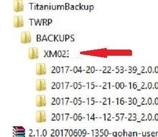SN BQ.JPG