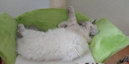 IMG-20170624-WA0039-01.jpeg