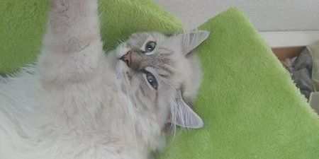 IMG-20170624-WA0040-01.jpeg