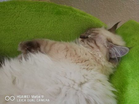 IMG-20170624-WA0046-01.jpeg