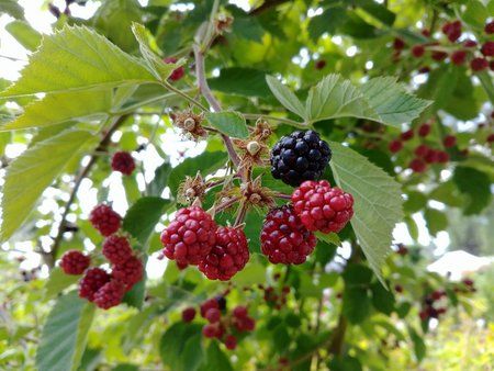 20170624_122041.jpg