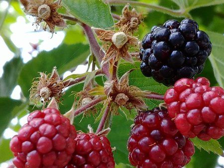 20170624_122041-crop.jpg