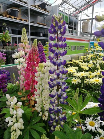IMG_20170626_170836.jpg