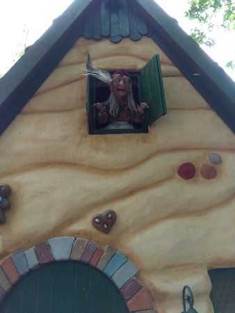 IMG_20170701_140956.jpg