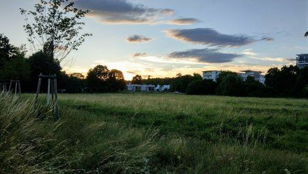 IMAG0237.jpg