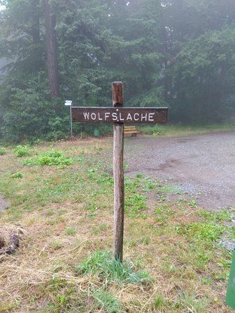 IMG_20170702_084109.jpg