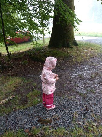 IMG_20170702_083856.jpg