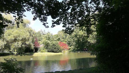 IMG_20170703_161558.jpg