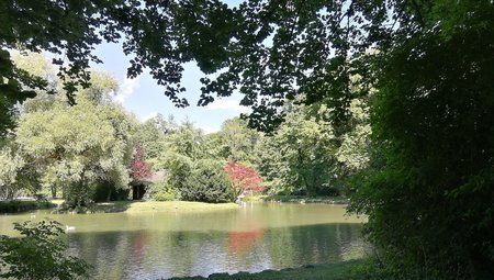IMG_20170703_161607.jpg