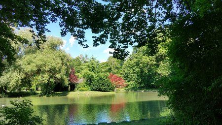 IMG_20170703_161633_HDR.jpg