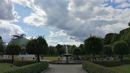 IMG_20170703_165037.jpg