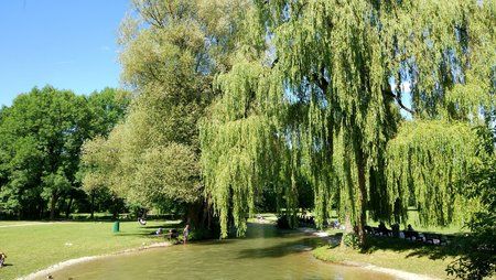 IMG_20170703_154921_HDR.jpg