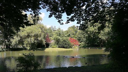 IMG_20170703_161512.jpg