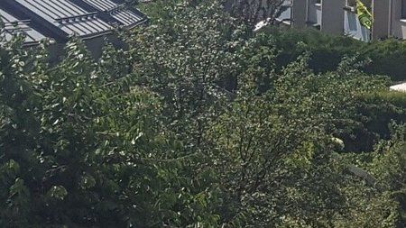20170705_155253.jpg