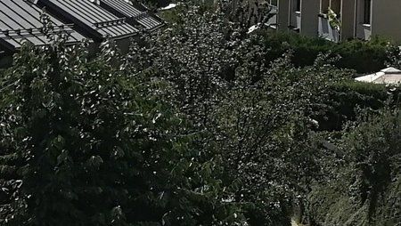 IMG_20170705_155254.jpg