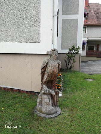 IMG_20170706_102141.jpg