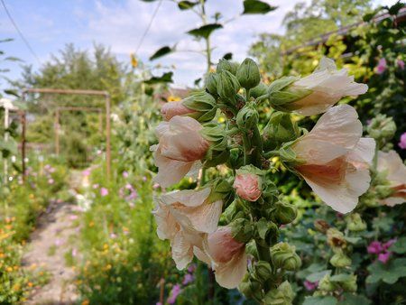 20170708_102803_HDR.jpg