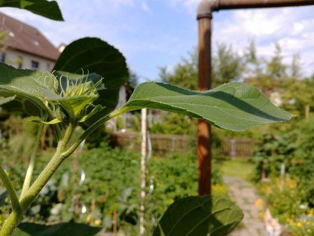 20170708_102819.jpg