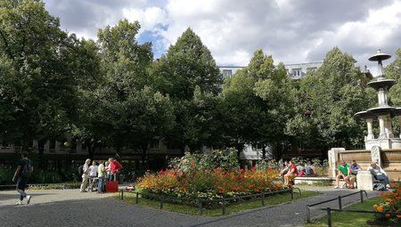IMG_20170701_170646.jpg
