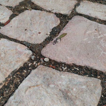 IMG_20170625_163831_530.jpg