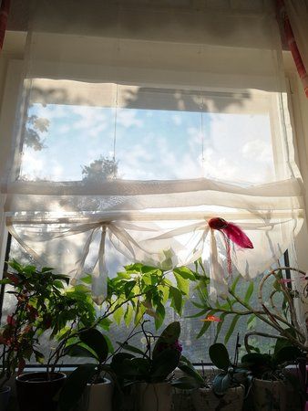 IMG_20170714_195216.jpg