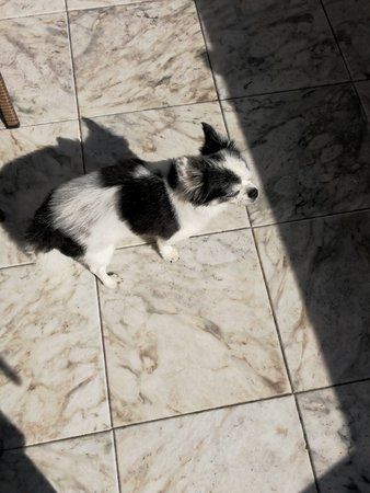 IMG_20170714_171019.jpg
