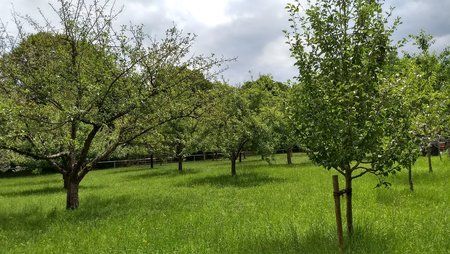 IMG_20170715_122211523_HDR.jpg