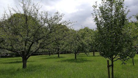 IMG_20170715_122227.jpg